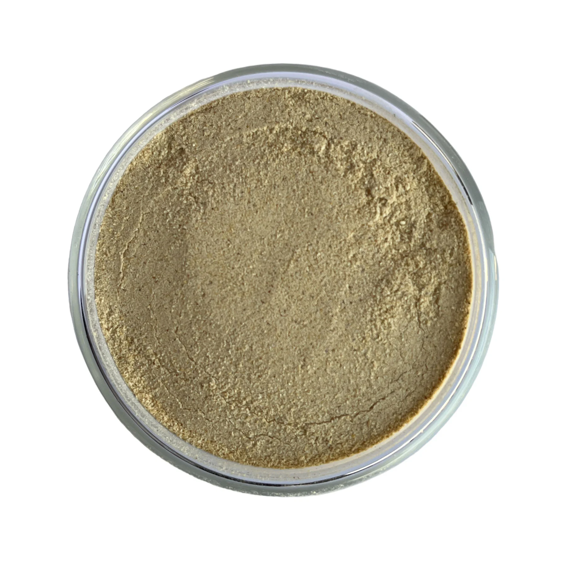 Cassia Tora Meal in Rajasthan